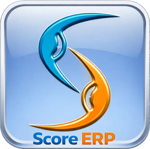 ERP Software Solutions | Bluelight Computer IT Services