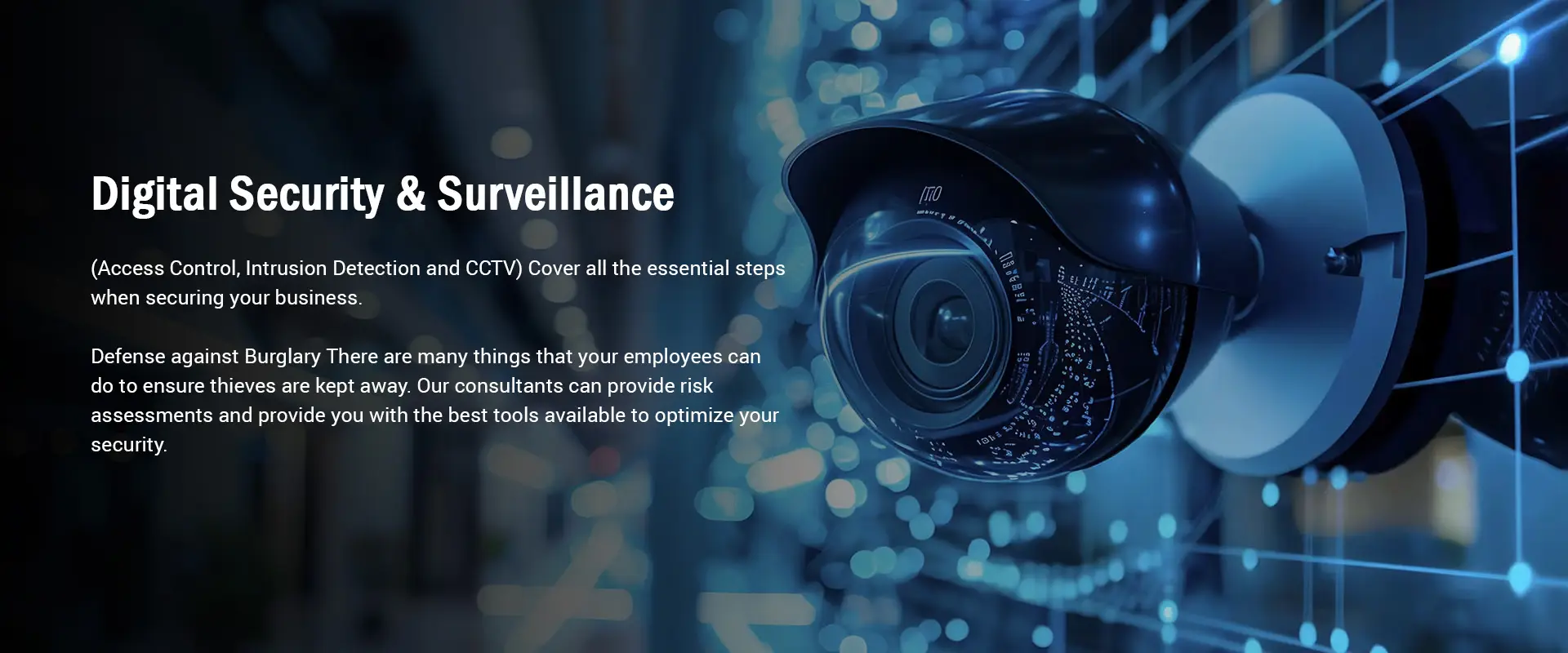 Banner representing digital security, surveillance systems, and IT protection services by Bluelight Computer